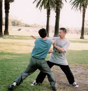 Training in the park 2004